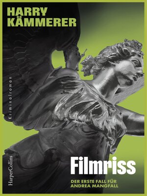 cover image of Filmriss
